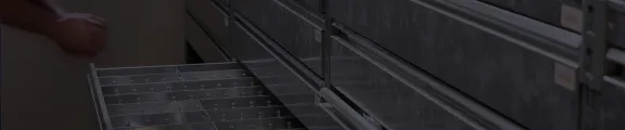 Da oltre 15 anni, forniamo soluzioni meccaniche per la manutenzione di linee di imbottigliamento e packaging. Acquista ora online!